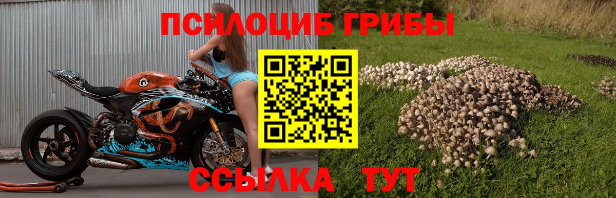 Псилоцибиновые грибы MAGIC MUSHROOMS  Вход с VPN  Псилоцибиновые грибы мухоморы  Октябрьский 