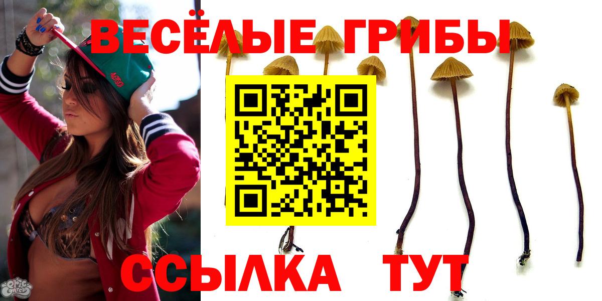 Псилоцибиновые грибы Magic Shrooms Октябрьский